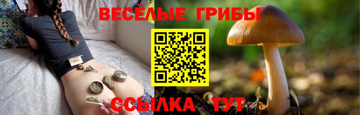 Галлюциногенные грибы GOLDEN TEACHER  Псилоцибиновые грибы Magic Shrooms  Вход с VPN  Сергиев Посад 
